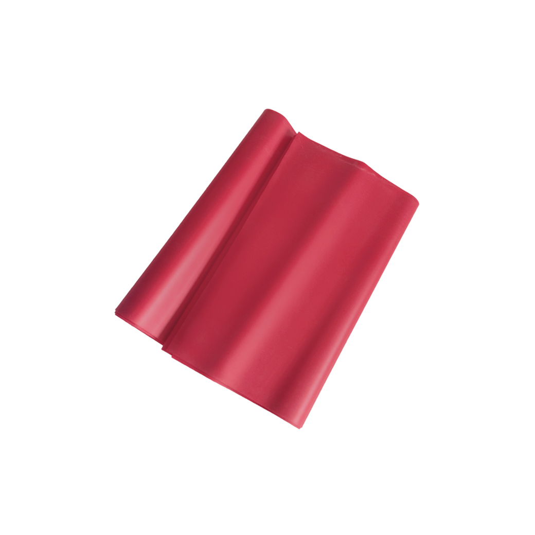 Bunheads Exercise Stretch Band